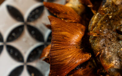 Carciofi alla giudia e alla romana: i re della tavola capitolina 👑