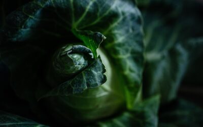 La zuppa romana: quando il pane raffermo diventa poesia 🍲