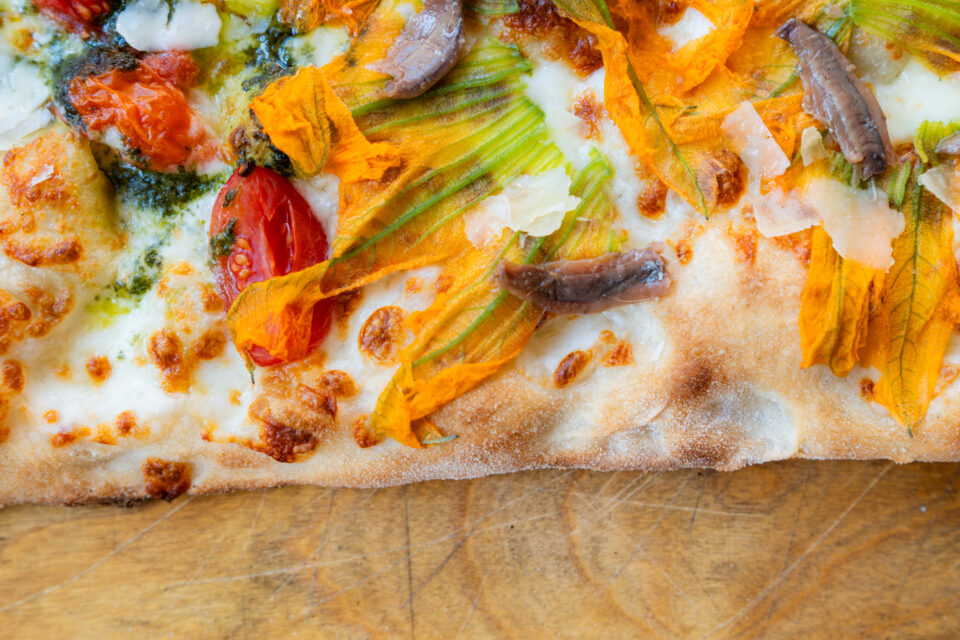 Fiori di zucca