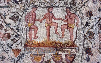 Vendemmia ai Castelli Romani: vino laziale e Sagra dell’Uva🍇